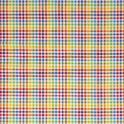 Rainbow Gingham Checkered Cotton Fabric by Keepsake Calico