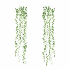 York Wallcoverings Wall Decals String of Pearls Vine