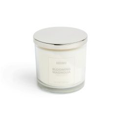 14oz Blooming Magnolia Scented Jar Candle by Hudson 43