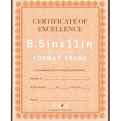 MCS 8.5 x 11 Front Loading Black Wall Frame