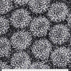 Burst 108 Wide Flannel Fabric
