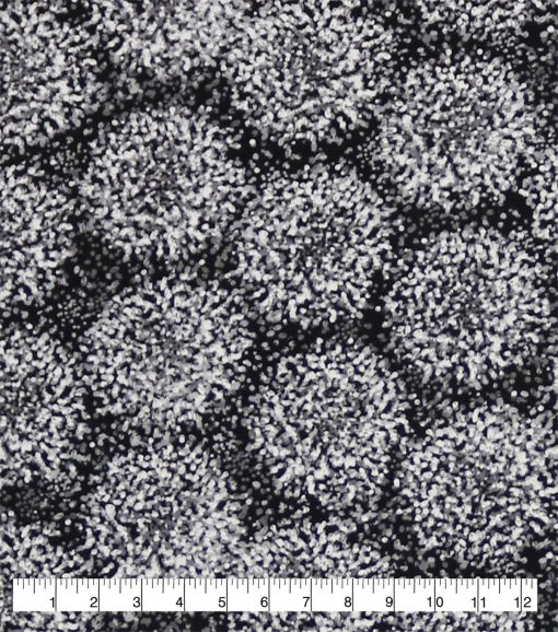 Burst 108 Wide Flannel Fabric