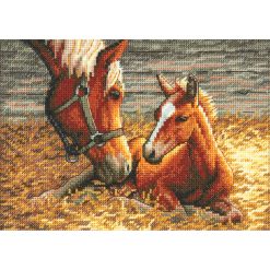 Dimensions 7 x 5 Good Morning Counted Cross Stitch Kit