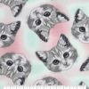 Kitten Faces Anti Pill Fleece Fabric