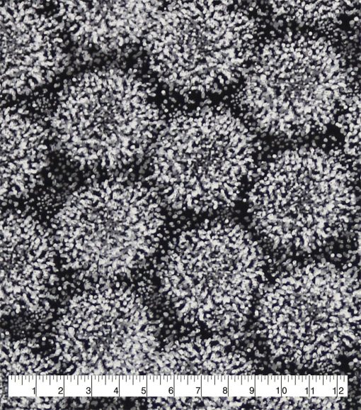 Burst 108 Wide Flannel Fabric - Image 2