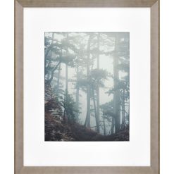 Walden Woods 16 20 Matted to 11 14 Gray Wall Frame