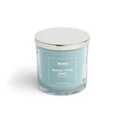 14oz Eucalyptus Mint Scented Jar Candle by Hudson 43 - 1