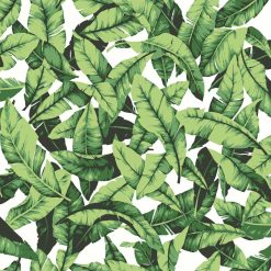 York Wallcoverings Wallpaper Palm Leaf