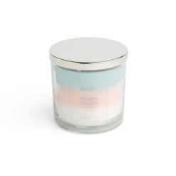 14oz Desert Plume 3 Wick Scented Jar Candle by Hudson 43