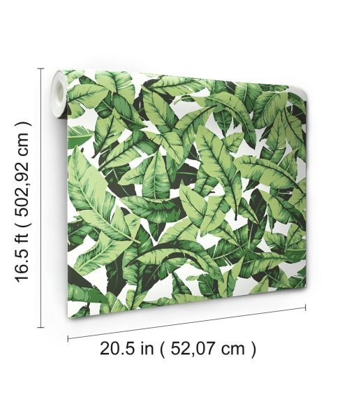 York Wallcoverings Wallpaper Palm Leaf - Image 4