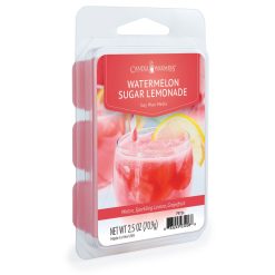Candle Warmers 2.5oz Watermelon Lemonade Wax Melts