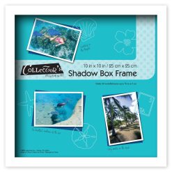 Collector s Museum 10 x 10 White Shadow Bo x Frame