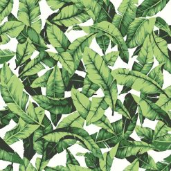 RoomMates Palm Leaf Peelable Wallpaper
