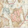 Novelty Cotton Fabric Map Exploration