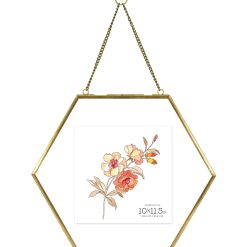 MCS 10 11.5 Brass Pressed Hexagonal Float Picture Frame