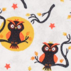 Owls on Branches Anti Pill Fleece Fabric