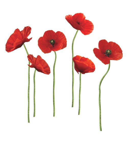 RoomMates Wall Decals Poppies at Play - Image 2
