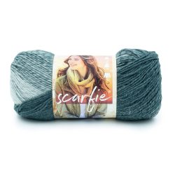 Lion Brand Scarfie 312yds Bulky Acrylic Blend Yarn