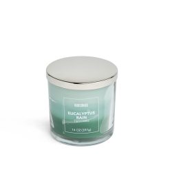 14oz Eucalyptus Rain Scented Jar Candle by Hudson 43