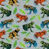 Dart Frogs Super Snuggle Flannel Fabric