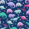 Novelty Cotton Fabric Girl Dinosaur