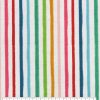Rainbow Stripe Super Snuggle Flannel Fabric