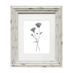 BP 8 10 Distressed Cream Wall Photo Frame