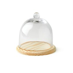5 Dome Handle Top Glass Terrarium by Park Lane