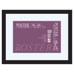 MCS 18 24 Black Float Frame