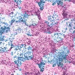 Fabric Traditions Pink   Blue Hydrangeas Premium Cotton Fabric
