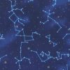 Novelty Metallic Cotton Fabric Star Constellations