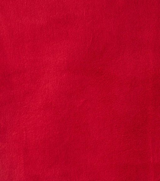 Eddie Bauer Rhubarb Premium Fleece Fabric - Image 2