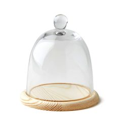 6 Dome Handle Top Glass Terrarium by Park Lane