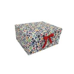 14.5 Dog Prints on White Flip Top Box With Bow by Place   Time