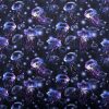Jellyfish On Navy Novelty Cotton Fabric