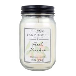 12oz Fresh Peaches Scented Mason Jar Candle by Hudson 43