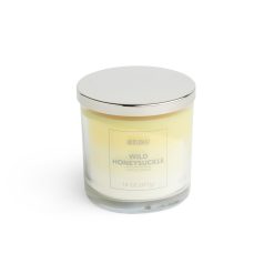 14oz Wild Honeysuckle Scented Jar Candle by Hudson 43