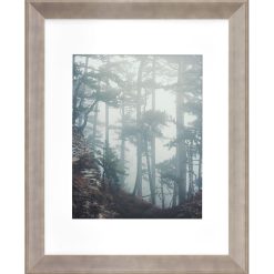 Walden Woods 11 14 Matted to 8 10 Gray Wall Frame