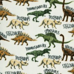 Dinosaurs   Names on Cream Anti Pill Fleece Fabric