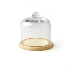 5 Handle Top Glass Terrarium by Park Lane