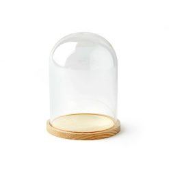 6 Dome Top Glass Terrarium by Park Lane