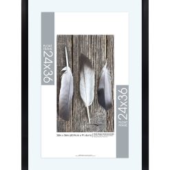 MCS 24 36 Black Poster Float Frame
